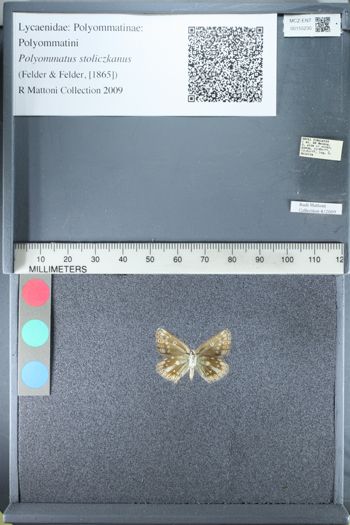 Media type: image;   Entomology 155235